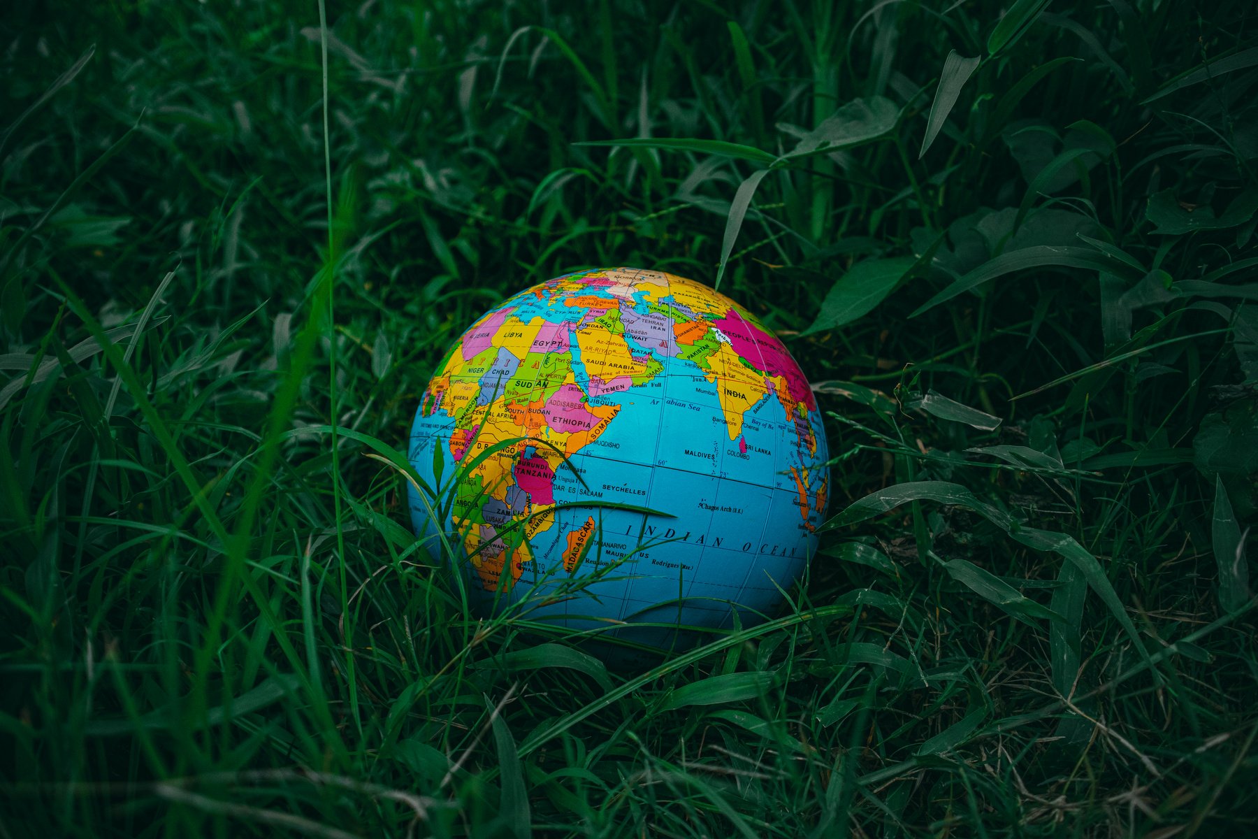 Globe on Green Grass